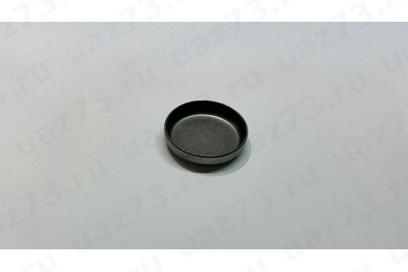 ЗАГЛУШКА БЛОКА ЦИЛИНДРОВ d 45 ЗАГЛУШКА БЛОКА ЦИЛИНДРОВ d 45