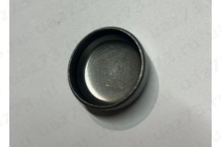 ЗАГЛУШКА БЛОКА ЦИЛИНДРОВ d 30 ЗАГЛУШКА БЛОКА ЦИЛИНДРОВ d 30