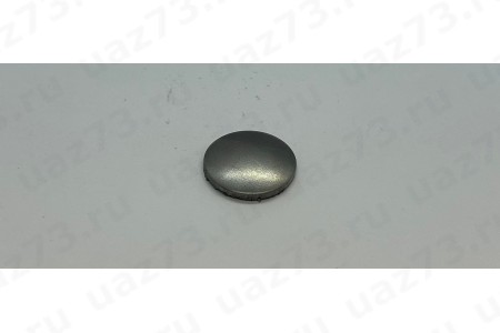 ЗАГЛУШКА НАПРАВЛЯЮЩЕЙ ВТУЛКИ СУППОРТА (d 22) ЗАГЛУШКА НАПРАВЛЯЮЩЕЙ ВТУЛКИ СУППОРТА (d 22)