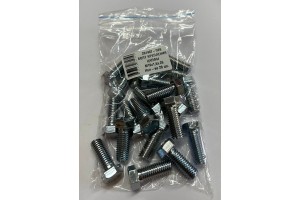 БОЛТ КРЕПЛЕНИЯ ЦАПФЫ М10х1,5х.25      (по20)