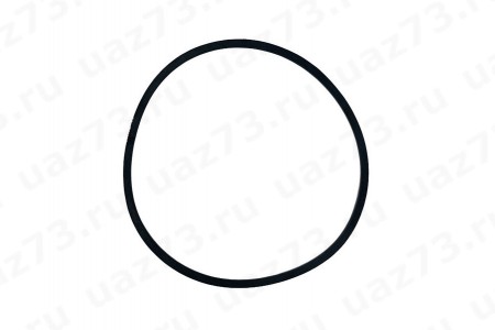 РЕМЕНЬ НА ГУР 875 (дв.4213) (ZFauto)